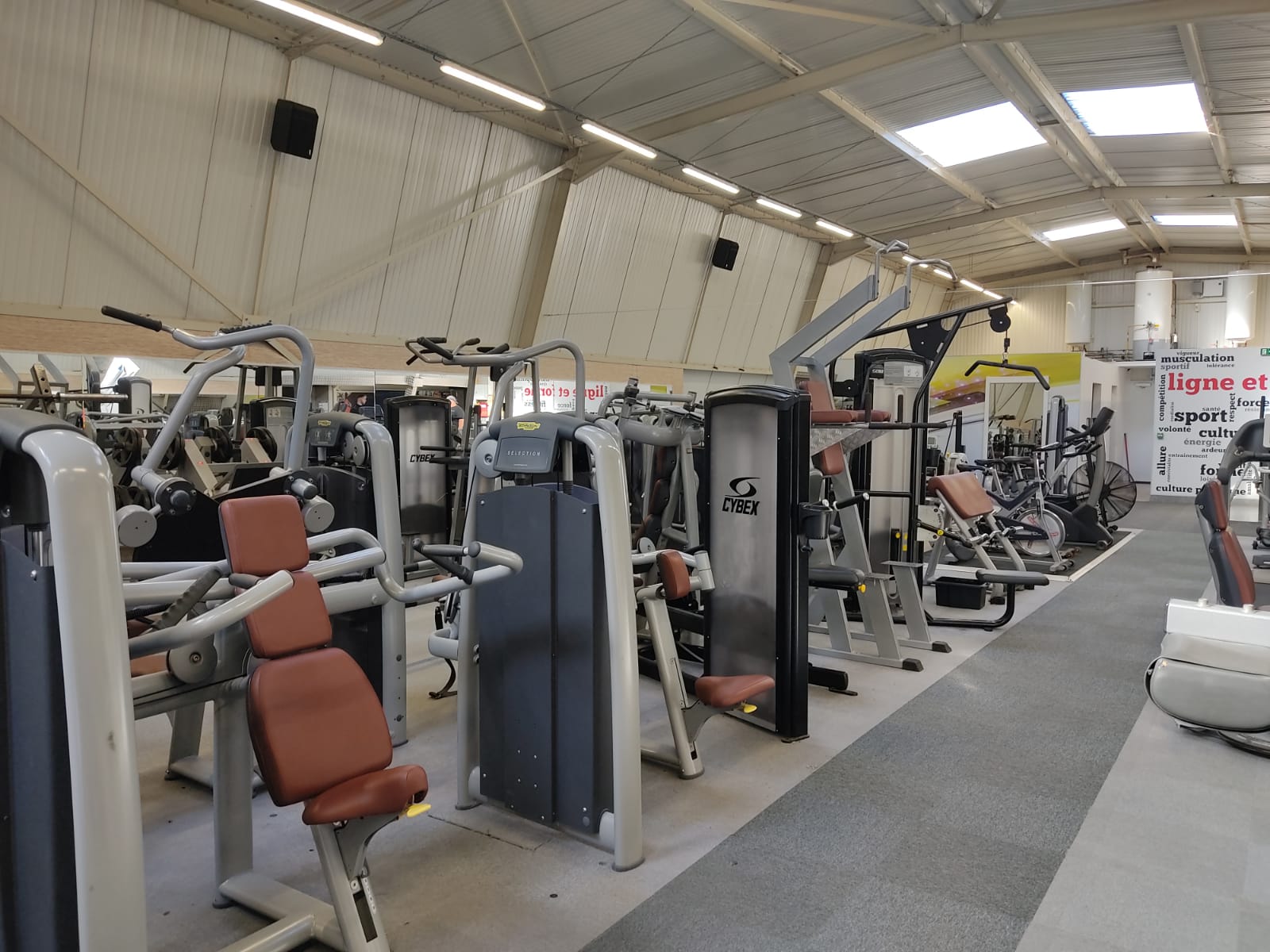 Espace cardio tapis