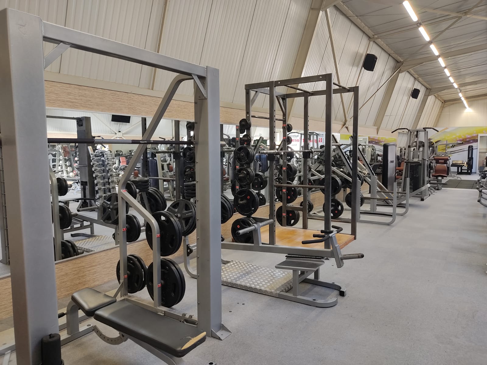 Espace force athlétique : racks de squat, barres olympiques et plateforme bois CHMFS Senlis